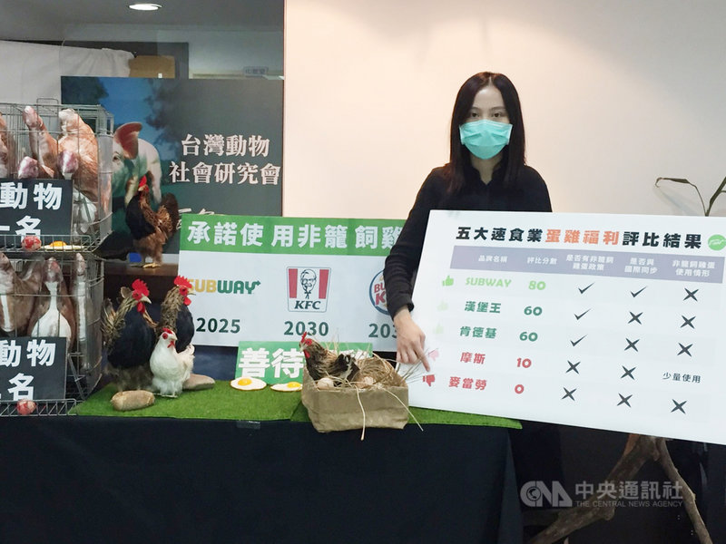 台灣動物社會研究會倡議非籠飼雞蛋超過10年,19日召開「五大國際連鎖速食業.蛋雞動物福利評比」記者會,公布調查評比結果,由連鎖速食店SUBWAY以80分拿下第一。中央社記者楊淑閔攝 110年10月19日