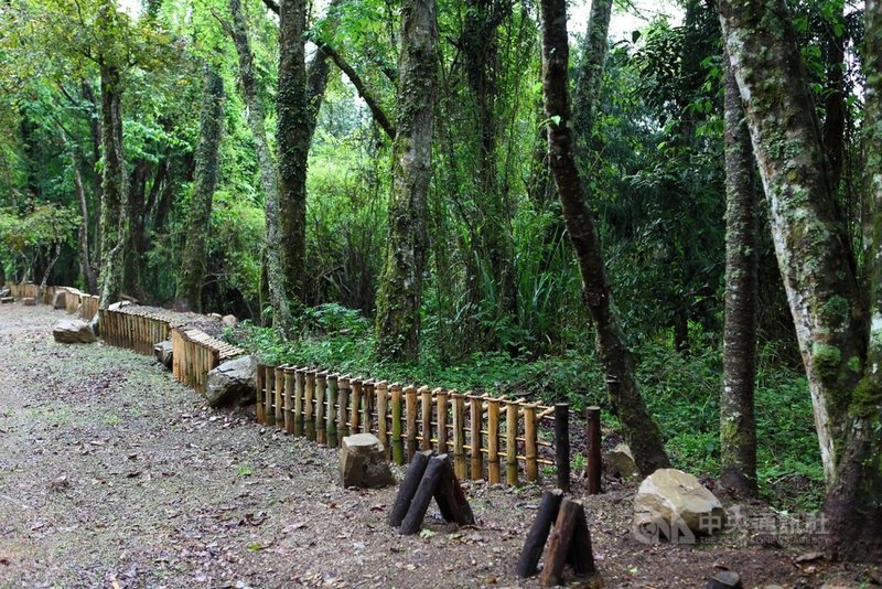 台21線新中橫公路生態資源豐富,今年以「台21線樸原森活新中橫公路」參加國際景觀建築師協會亞太區景觀大獎的自然保護類競賽,榮獲卓越獎肯定,該路段設有生態友善設施。(公路總局提供)中央社記者余曉涵傳真 110年10月19日。