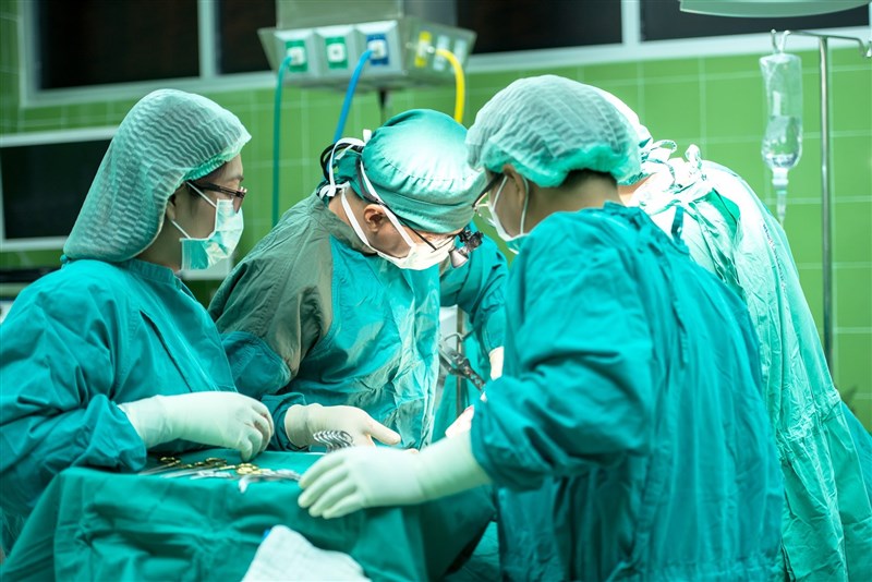 美國紐約大學朗格尼醫學中心進行一項將豬腎移植到人體的開創性手術，且未立即誘發受贈者的免疫排斥。（示意圖／圖取自Pixabay圖庫）