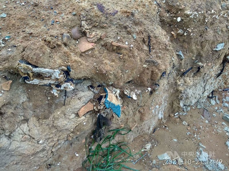 金門縣金湖鎮環島北路3段拓寬工程路段發現疑貝塚遺址,在地層1米內顯見貝殼、瓦陶片。文化局表示,將邀請考古學者專家、學術或專業機構進行會勘或專案研究評估後再決定後續處理。(金門縣文化局提供)中央社 110年10月22日