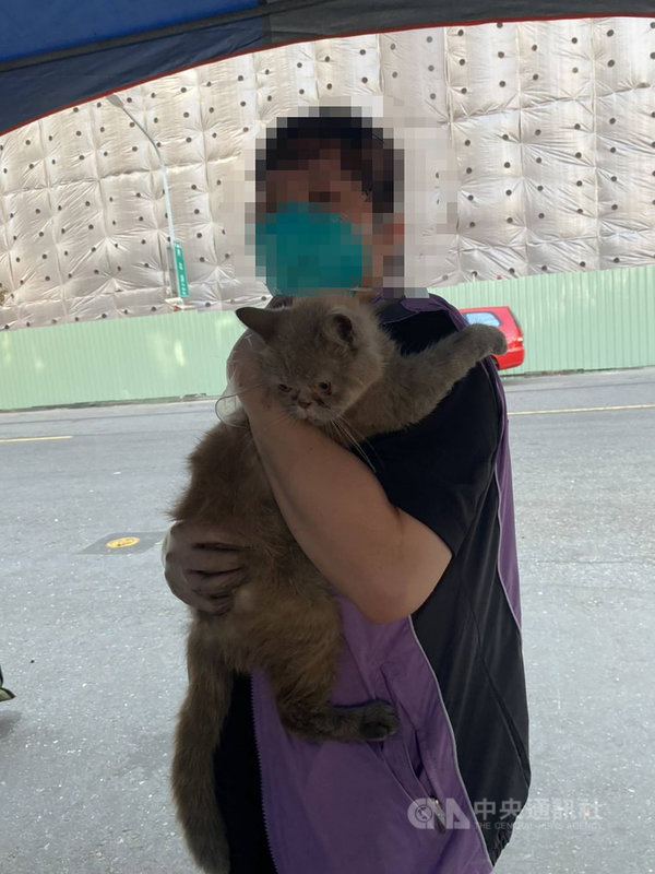 高雄市鹽埕區城中城社區大火讓大樓住民頓失家園,警方近日搜索時在大樓內找到一隻倖存的寵物貓,健康無虞,目前正在尋找飼主。(高雄市政府社會局提供)中央社記者洪學廣傳真 110年10月22日