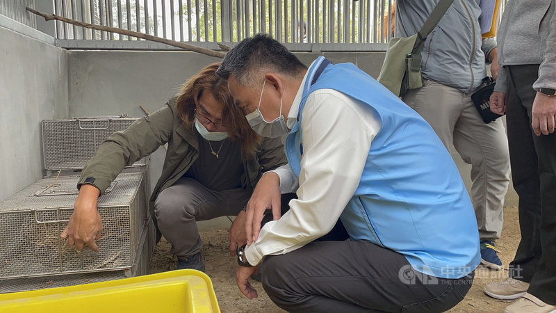 金門野生動物救傷站25日揭牌,縣長楊鎮浯(前)出席開幕儀式,並聽取金門縣野生動物救援暨保育協會理事長陳光耀(後)介紹救傷站內收容的野生動物。中央社記者黃慧敏攝 110年10月25日