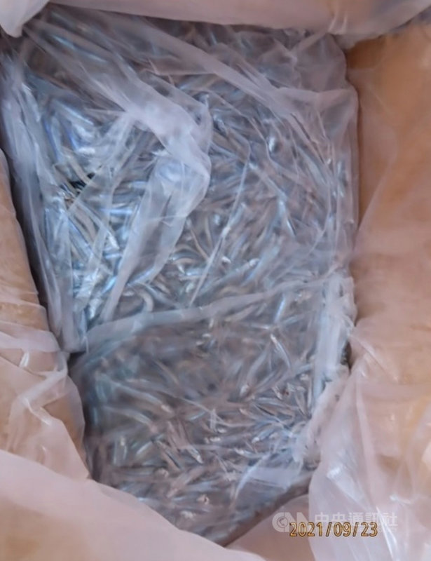 衛生福利部食品藥物管理署26日公布最新邊境檢驗不合格產品清單,以海鮮類產品被驗出重金屬鎘超標居多,其中印尼進口的「冷凍丁香魚」被驗出鎘超標5倍,共1萬4775公斤遭退運銷毀。(食藥署提供)中央社記者張茗喧傳真 110年10月26日