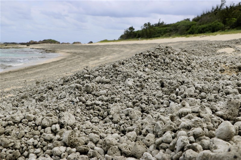 日本小笠原群島海底火山噴發產生大量浮石,目前已漂流到沖繩縣及鹿兒島縣等地。圖為鹿兒島縣奄美市海岸。(共同社)