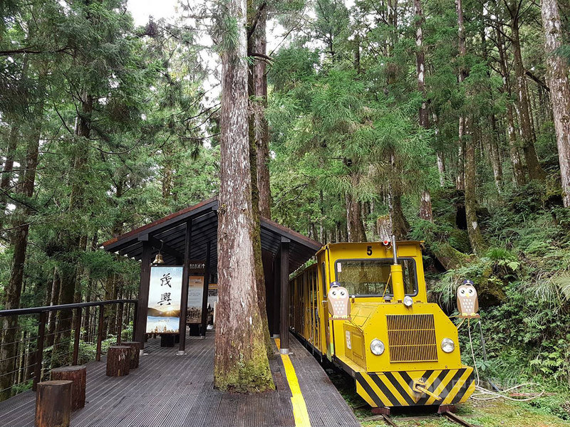 太平山國家森林遊樂區入口網 蹦蹦車 蹦蹦車