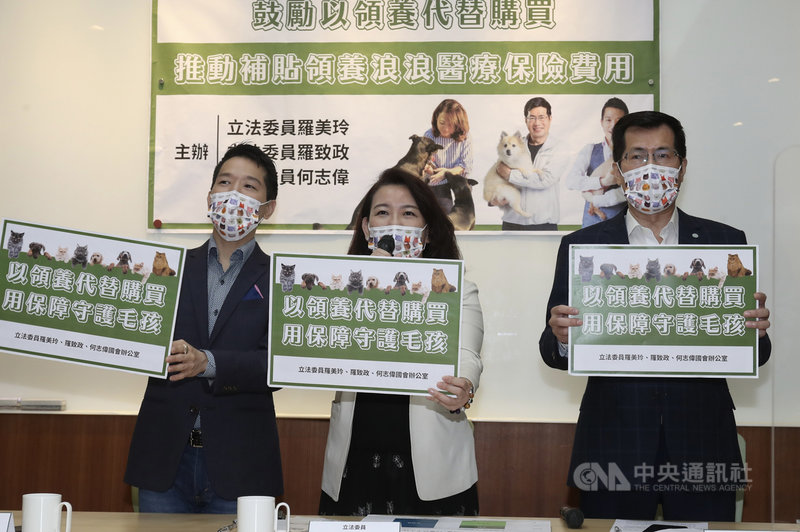 領養老犬大型犬農委會 111年推動補助保險費 政治 中央社cna 領養老犬大型犬農委會 111年推動補助保險費 政治 中央社cna