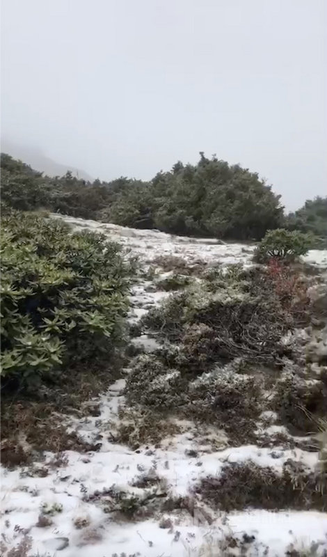 東北季風影響加上水氣充足,雪霸國家公園管理處表示,高山協作10日清晨發現雪山圈谷至雪山主峰都降下瑞雪。(取自雪霸高山協作蔣先生提供影片)中央社記者管瑞平傳真 110年11月10日