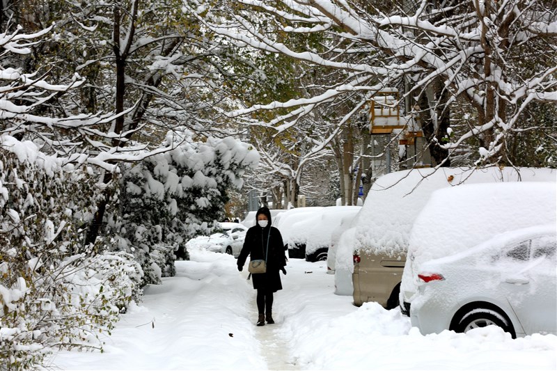 中國北方6日起寒流來襲且降下大雪,遼寧省出現特大暴雪,已導致全省640萬隻家禽畜被凍死。(中新社)