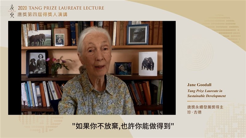 唐獎基金會20日邀請第4屆唐獎永續發展獎得主珍古德(Jane Goodall)發表線上演講,主題為「希望」,她表示,「年輕人讓我感到希望」,他們參與計畫為人類、動物和環境做出貢獻,盼讓世界變得更美好,「我們現在需要的不是談話而是行動」。(唐獎基金會提供)中央社記者吳欣紜傳真 110年11月20日