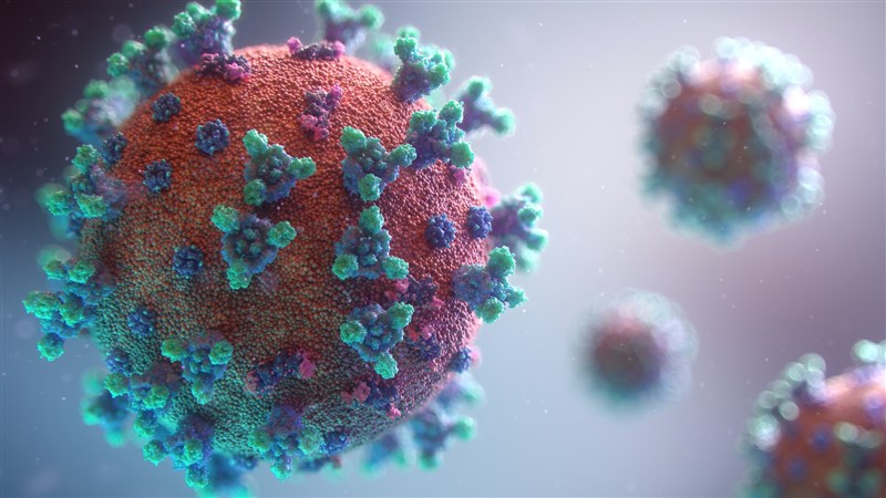 新變種病毒命名Omicron 世衛：需數週研究嚴重性| 國際| 重點新聞| 中央社CNA