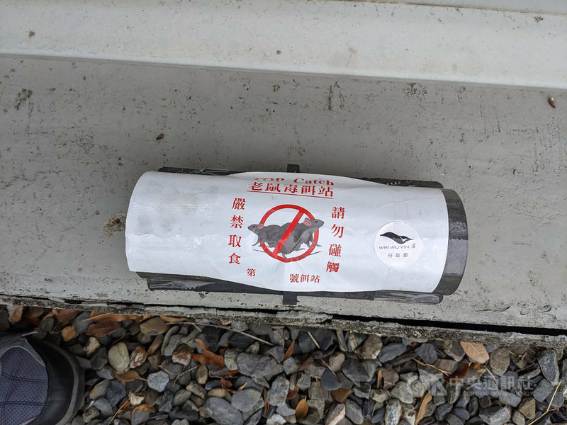 民眾反應在衛武營公園草地上看到老鼠藥,管理單位28日表示,是為防治鼠害,才在兒童、流浪貓狗與寵物不易觸及的隱蔽之處設置盒狀鼠餌站,且外盒有相關警語。(高雄市政府提供)中央社記者曾以寧傳真 110年11月28日