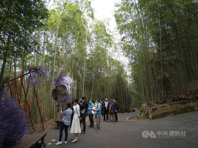 嘉義縣政府29日在梅山鄉瑞里綠色隧道舉行道路優化發布會,邀遊客在竹林中享受優雅美景。中央社記者蔡智明攝 110年11月29日