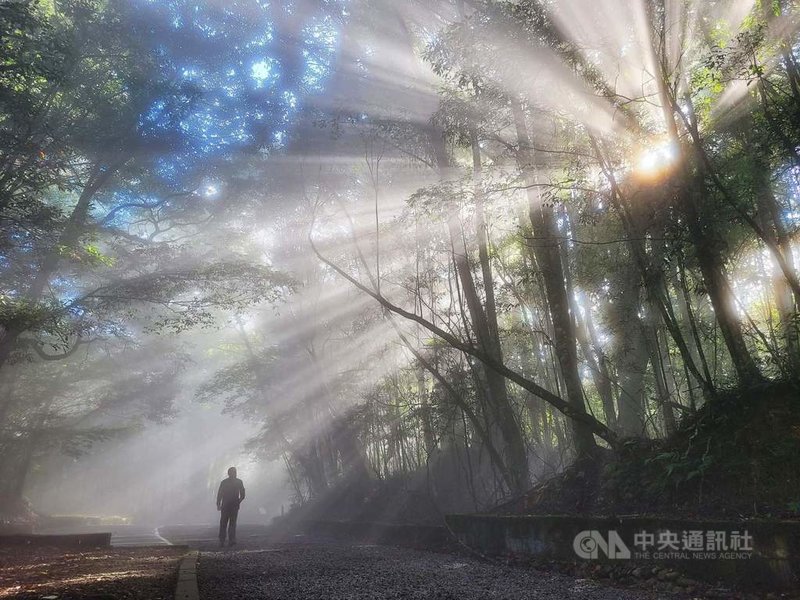 雪霸國家公園雪見遊憩區秋冬之際常見雲霧飄渺,雪見管理站主任潘振彰以手機拍下美景,記錄陽光照進樹林間形成朦朧光束,宛如夢幻仙境。(潘振彰提供)中央社記者管瑞平傳真 110年12月1日