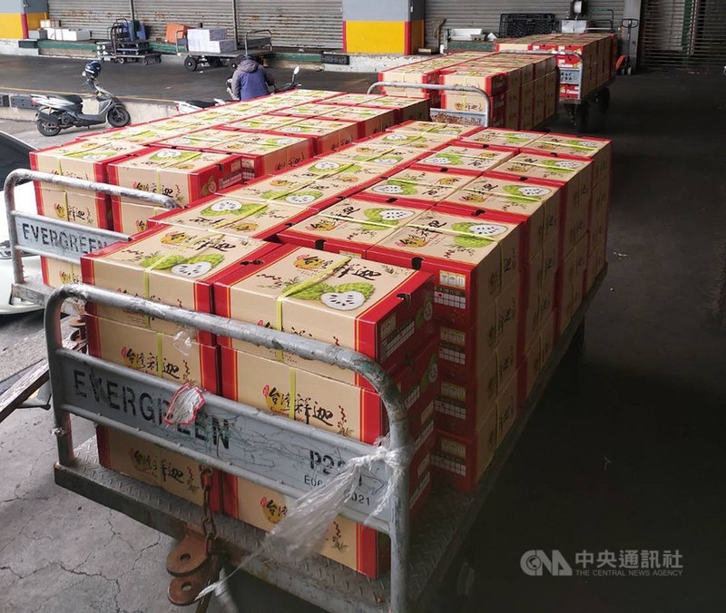 當選第59屆十大傑出青年的台東青農魏瑞廷不僅將自家的米賣到美國、杜拜,也幫台東果農把近7公噸的鳳梨釋迦賣到東南亞,首批於2日下午空運出貨。(魏瑞廷提供)中央社記者盧太城台東傳真 110年12月3日