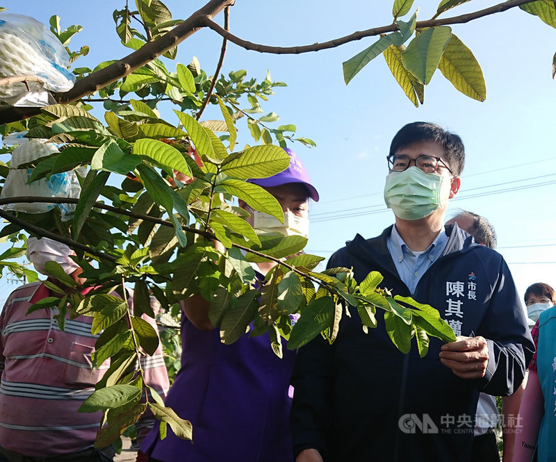 高雄市長陳其邁(前右)4日出席「第12屆高雄杉林瓜瓜節」活動,並宣布民國111年起將試辦農產業保險保費市府補助加碼到3成,盼全力照顧農民。(高雄市政府提供)中央社記者曾以寧傳真 110年12月4日
