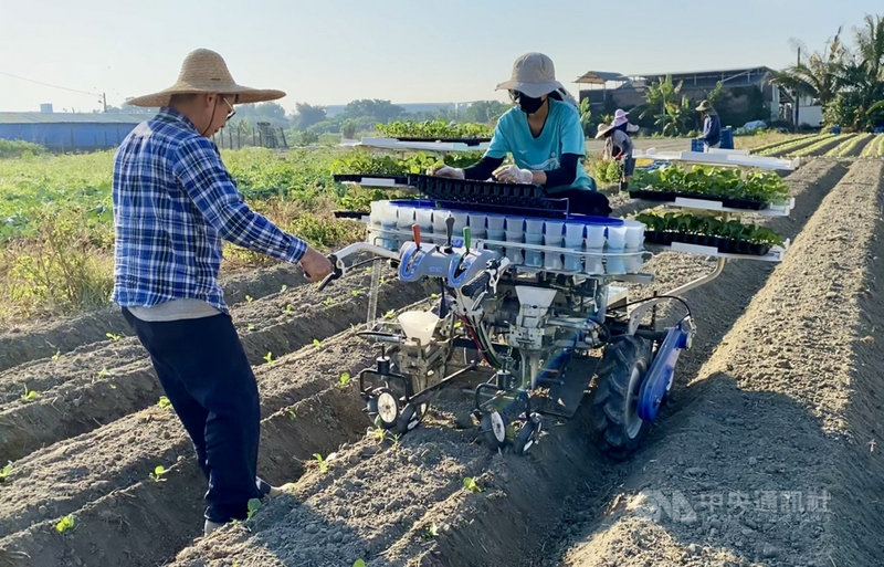 高雄市政府農業局推出「人機一體」專業代耕服務,將蔬菜移植機導入青花菜、花椰菜及甘藍產業,推廣給有需求農友,不僅舒緩季節性缺工,也為青年從農開創全新產業方向。(高雄市政府農業局提供)中央社記者曾以寧傳真 110年12月6日