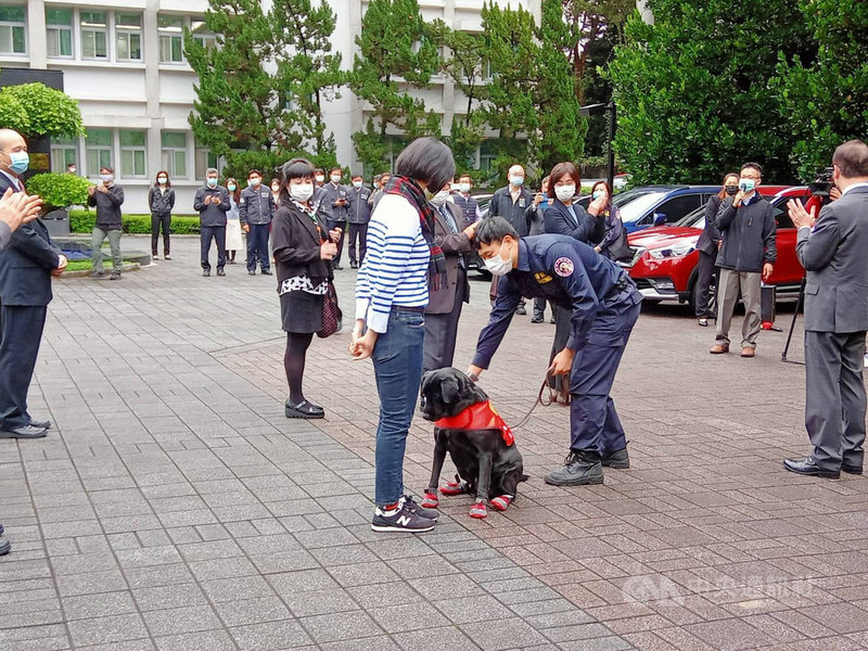 法務部調查局與財政部關務署7日在調查局舉行反毒陳展館緝毒合作專區揭幕儀式,關務署緝毒犬培訓中心安排緝毒犬值勤表演,展現緝毒犬優異的嗅聞毒品能力。(調查局提供)中央社記者蕭博文傳真 110年12月7日