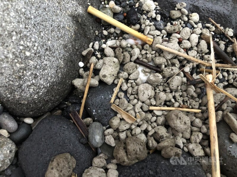 日本小笠原群島火山8月噴發,海洋委員會等單位11月底發現火山浮石已漂流至台灣外海,海巡同仁陸續在石梯坪、七星潭及板下海岸外海發現火山浮石,也有部分浮石被打上岸。中央社記者張祈攝 110年12月8日