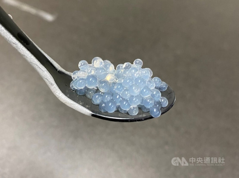 成功大學團隊從珍珠奶茶獲得靈感,設計含有減壓性胺基酸taurine的珍珠,取名MenTAUR,提供慢性長期壓力輕憂鬱症新療法,獲得國際遺傳工程機器設計競賽金牌。(成功大學提供)中央社記者張榮祥台南傳真 110年12月8日
