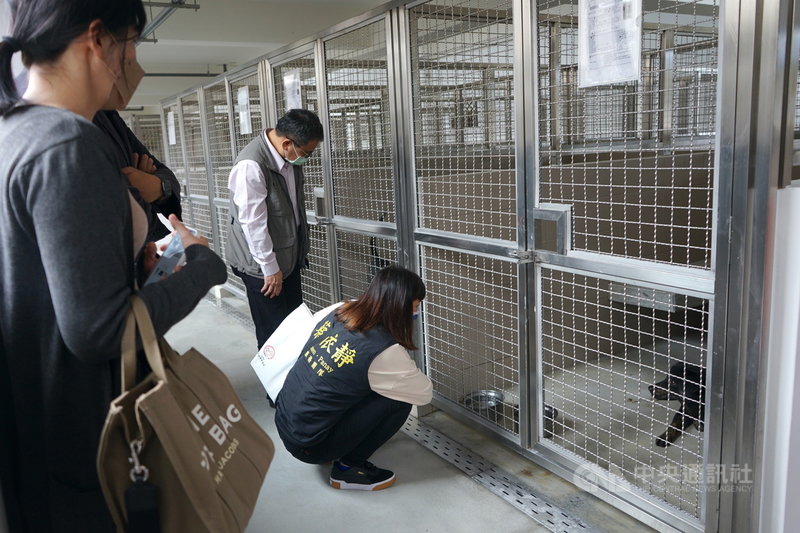 花蓮狗貓躍動園區14日正式啟用,可收容330隻流浪狗及20隻流浪貓,園區分為動物宿舍及作業區,圖為犬舍。中央社記者張祈攝 110年12月14日