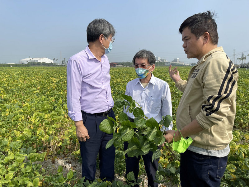 民進黨立委莊瑞雄(右)接獲民眾陳情,指今年紅豆因薊馬肆虐及天氣過熱影響,導致開不了花、結不了莢,17日特別邀集農委會副主委陳駿季(左)、高雄區農改場長戴順發(中)等人赴屏東縣南州鄉、崁頂鄉等紅豆產地會勘。(莊瑞雄服務處提供)中央社記者李卉婷傳真 110年12月17日