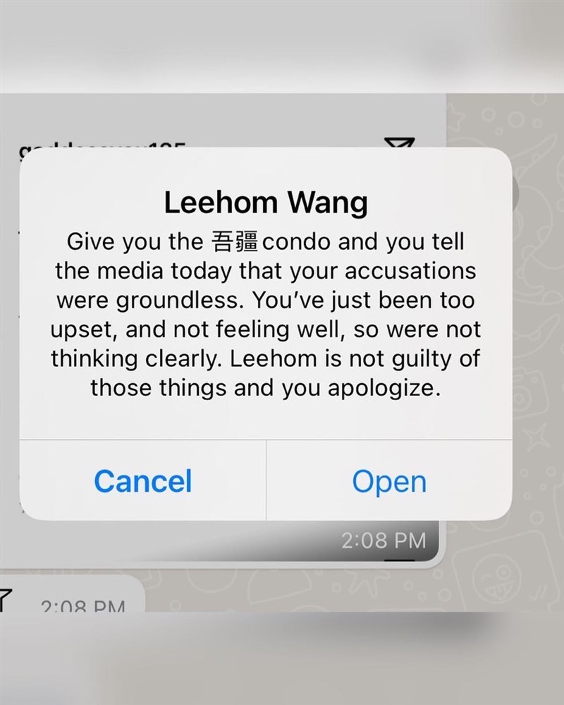 李靚蕾19日公開王力宏(右)以豪宅逼迫收回指控的簡訊內容,並說「不需要你的施捨」。(圖取自instagram.com/jl.leilei)