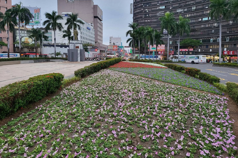 台南街頭添新貌逾12萬株花草讓民眾 走春 地方 中央社cna