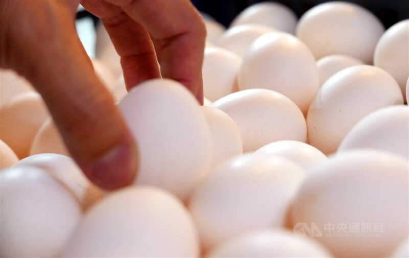 台北市蛋商業同業公會7日宣布，雞蛋買氣不振，首度連3週降價，產地價降新台幣2元，變成每台斤38.5元。（中央社檔案照片）