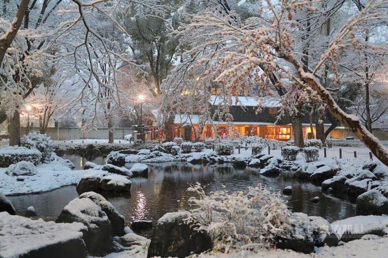 日本氣象廳6日對東京23區、千葉、茨城縣南部發布大雪警報。東京市中心睽違4年觀測到積雪10公分。圖為東京鐵塔附近寶珠院辯天池旁,雪壓楓樹枝。中央社記者楊明珠東京攝 111年1月6日