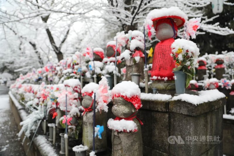 東京市中心6日大雪,氣象廳時隔4年對東京23區發布大雪警報。圖為增上寺一隅。中央社記者楊明珠東京攝 111年1月6日