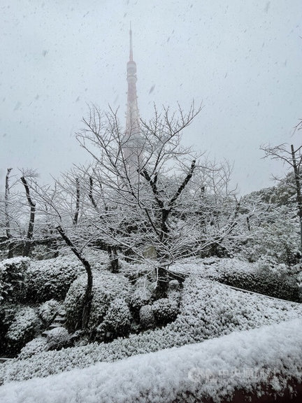 日本氣象廳對東京都、埼玉、千葉、神奈川與靜岡各縣發布大雪注意報,6日上午關東地區與東京都等地紛紛降雪,預料到7日白天,東京23區可能將積雪達5公分。圖為雪中的東京鐵塔。中央社記者楊明珠東京攝 111年1月6日