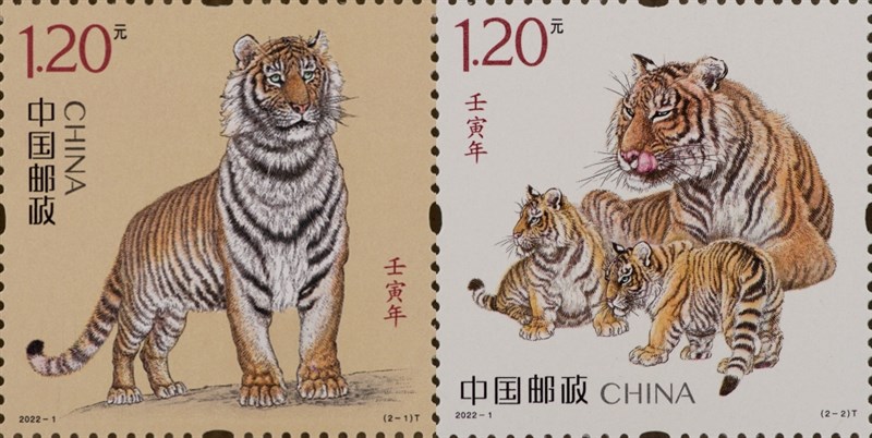 中國郵政5日發行虎年郵票。(圖取自中國郵政網頁www.chinapostnews.com.cn)