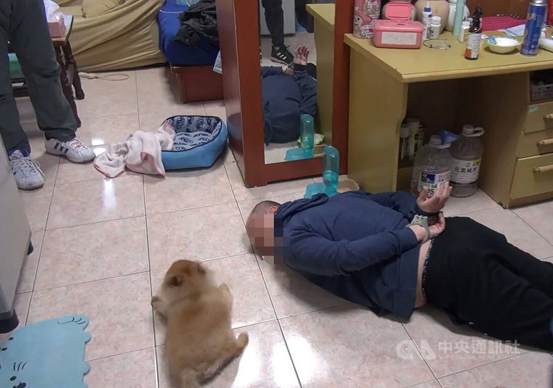 台中市警察局10日宣布破獲一件毒品案,當警方破門而入,喝令宋姓男子配合上銬時,嫌犯的寵物狗竟然配合警方指示,乖乖趴在地面,也不再發出聲音。(翻攝照片)中央社記者郝雪卿傳真 111年1月10日