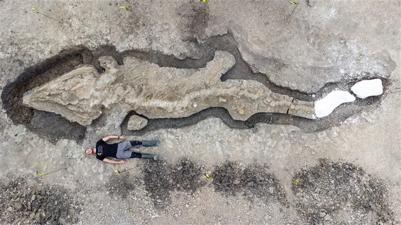 英國中部拉特蘭水庫發現巨大的史前「海龍」化石,體型長達10公尺。(圖取自twitter.com/RutlandWaterNR)