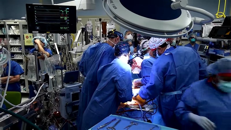 美國馬里蘭大學醫學院成功將基因改造豬的心臟移植到一名57歲男子身上。（圖取自University of Maryland School of Medicine YouTube頻道網頁youtube.com）