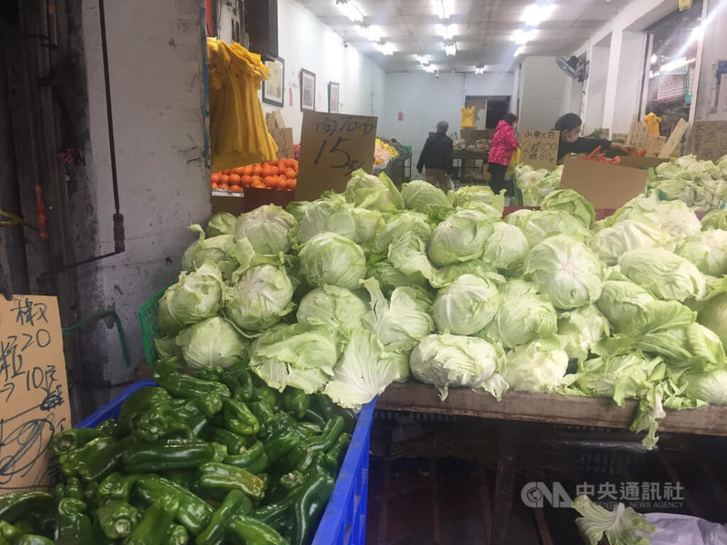 距離春節剩2週,民眾開始採買,農糧署表示,入冬以來多數菜價親民,呼籲可多享用。記者13日走訪傳統市場,發現高麗菜每台斤新台幣15、17元居多,一顆50元有找。中央社記者楊淑閔攝 111年1月13日