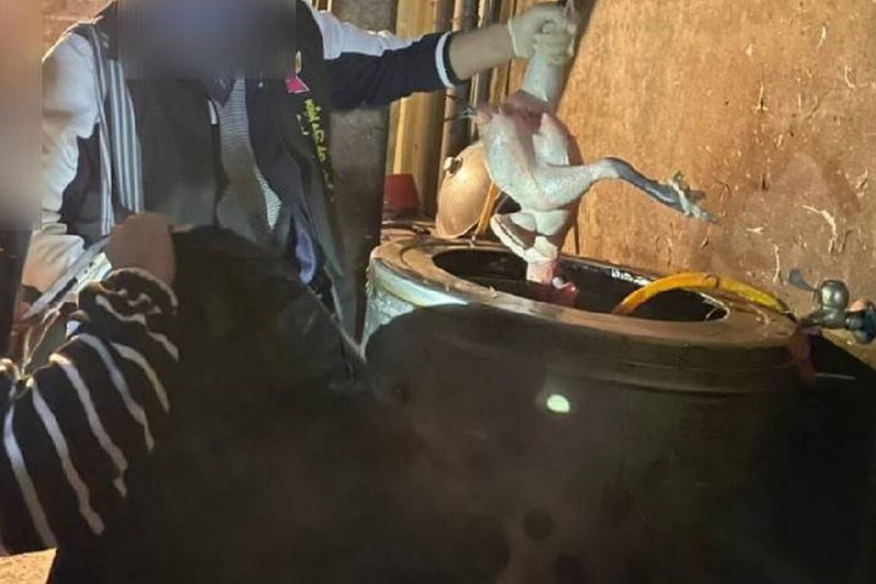 台南市農業局13日指出,市府聯合查緝小組12日會同農委會防檢局進行違法屠宰聯合稽查,在安南區查獲王姓業者違法屠宰雞隻,現場發現屠體3隻及部份內臟共計7.92公斤,全部依法沒入及銷毀,並由防檢局依法對業者裁處2萬元罰鍰。(台南市農業局提供)中央社記者楊思瑞台南傳真 111年1月13日