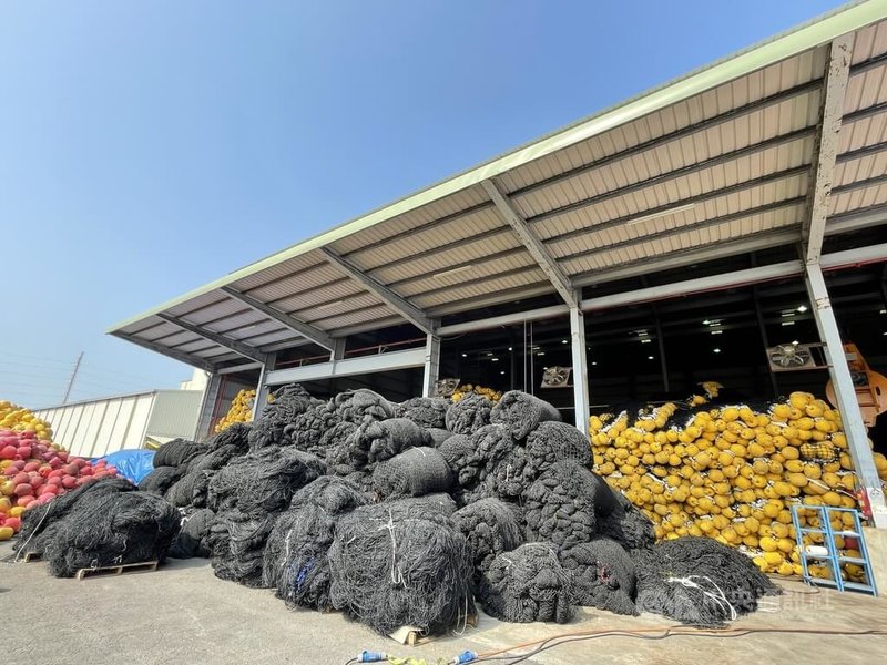 金洲是全球第2大的漁網製造廠。圖為放置於金洲廠房的廢棄漁網,已經過整理、裁剪,將進入回收階段。中央社記者蔡芃敏攝 111年1月14日