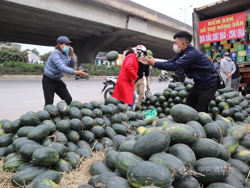 受中國COVID-19防疫政策衝擊,越中邊界口岸近月以來大塞車,農曆年前難以緩解。越南河內市街頭出現許多「搶救西瓜」的小販,兜售這些被卡在邊界口岸的農產品。中央社記者陳家倫河內攝 111年1月15日