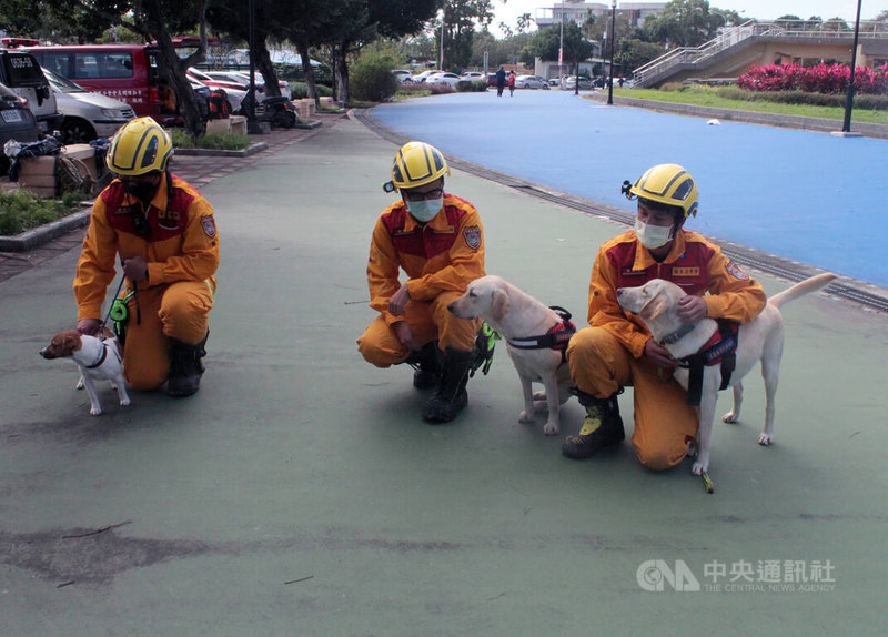 歷經強震及列車出軌事件後,花蓮縣消防局積極培訓特種搜救隊,110年並派員前往消防署訓練中心培訓3組搜救犬及領犬員,搜救犬們16日首度在花蓮亮相。中央社記者李先鳳攝 111年1月16日
