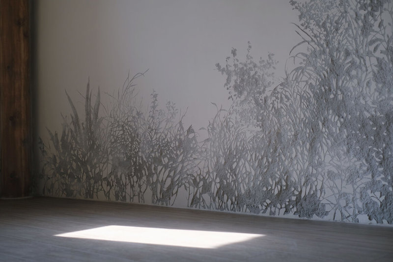 馬祖國際藝術島「地下工事」系列創作,首件作品「採光」完成,藝術家在傳統民居牆上以刀雕刻植物的影子,並選用植物易接收光源的部位,將空間採光與植物光線象徵結合,透過刻劃日常的光影印刻,展現對馬祖島嶼想像。(山冶計畫提供)中央社記者邱筠馬祖傳真 111年1月17日
