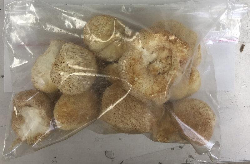 食藥署2日表示，將研議是否禁止進口中國猴頭菇。圖為食藥署1月公布未符農藥規定的中國猴頭菇。（食藥署提供）