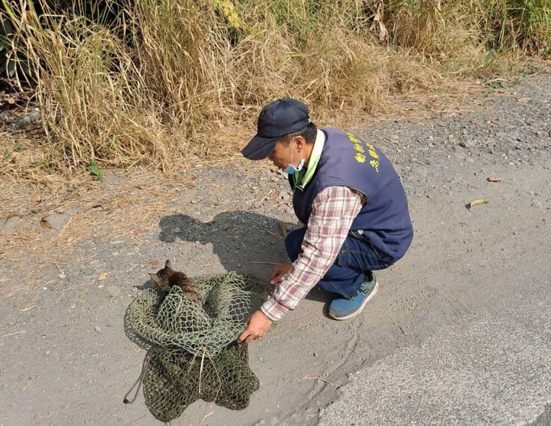 高雄市鳳山區建國路一段附近大排水溝11日有流浪貓受困,動保處派員到場觀察地形,並運用相關輔助工具,順利救出貓咪。(高市動保處提供)中央社記者洪學廣傳真 111年1月18日