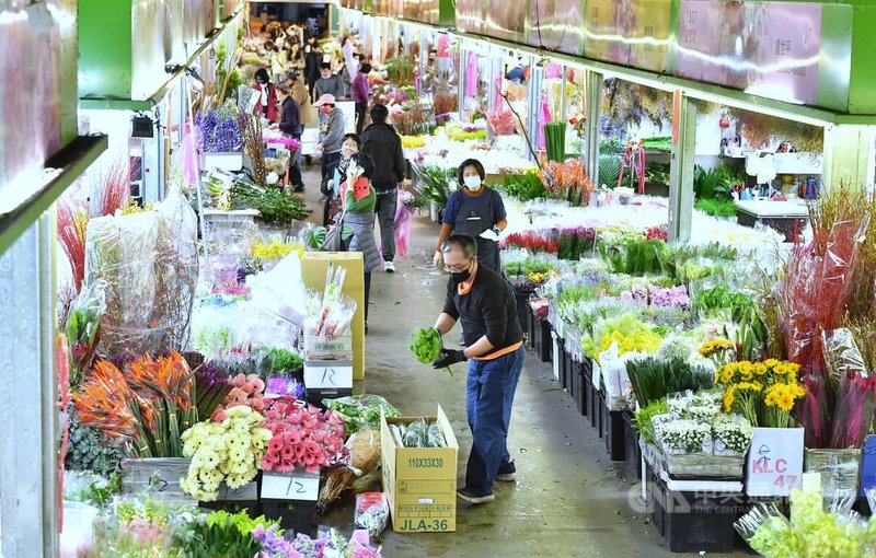 台北花市迎接2022年虎年的到來,將分2階段延長營業時間,第1階段即日起至26日,延長營業時間至下午3點,第2階段1月27日至1月31日中午,全天候營業。圖為19日台北花市採買人潮。中央社記者王飛華攝 111年1月19日