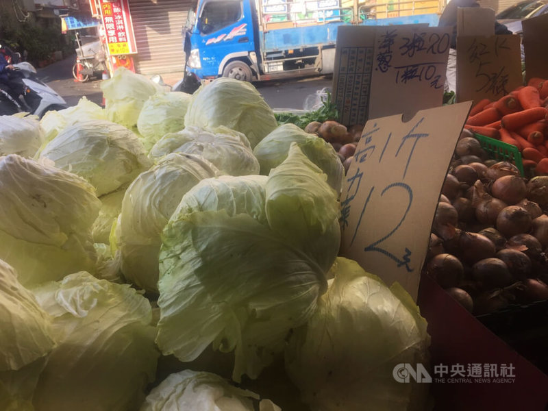 台北果菜批發市場20日高麗菜交易均價每公斤新台幣8.6元,傳統市場零售價每台斤再跌至12元,1顆僅約30元。中央社記者楊淑閔攝 111年1月20日