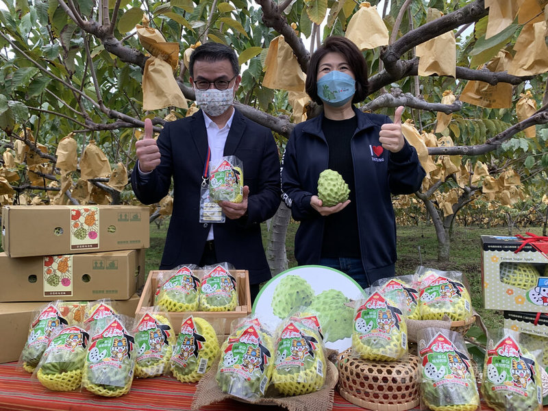 110年9月起中國暫停台灣釋迦輸入,超市龍頭全聯積極推廣鳳梨釋迦內銷市場,全聯總經理蔡篤昌(左)21日表示,至今銷售金額與噸數已成長逾10倍、達300多噸,將持續挑戰20倍以上。圖右為台東縣長饒慶鈴。中央社記者曾智怡攝 111年1月21日