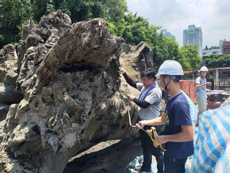 (新北市農業局提供)