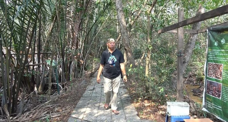 泰國民眾素吉在家鄉邦喀造投身環境保護運動,致力保護螢火蟲的生態環境,期盼將邦喀造打造成為生態島,能讓更多旅客對泰國的生態環境感到驚豔。中央社記者呂欣憓邦喀造攝 111年1月25日