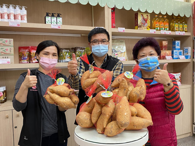 台中市大安區農會輔導農民耕種黃金地瓜,且為避免農友利潤遭盤商剝削,更申請地瓜品牌「海尋藷」,近期剛好可以收成,趕在農曆年前運銷供應全台。(大安區農會提供)中央社記者趙麗妍傳真 111年1月26日