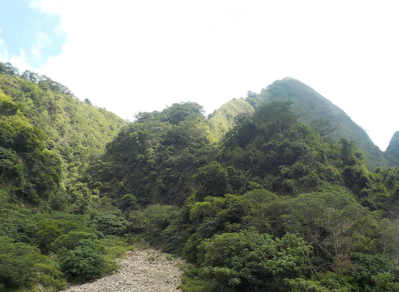 山友分享九九峰制高點美景,吸引不少遊客想探訪,南投林管處27日提醒,此處為自然保留區受文資法保護,非屬一般登山休閒步道,民眾行前應向林務局申請,違者將開罰。圖為九九峰自然保留區部分範圍。(南投林管處提供)中央社記者蕭博陽南投傳真 111年1月27日